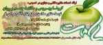 ارائه  خدمات تلفنی و مجازی مشاور سلامت در خصوص کرونا ویروس 2