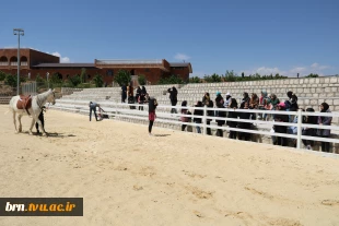 پیاده روی به مناسبت ولادت حضرت معصومه(س) 5