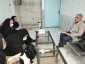 تبریک میلاد حضرت معصومه(س) و روز دختر