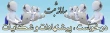 پیشنهادات و شکایات